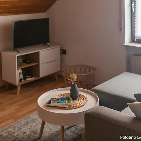 Appartement Palatina Living à Fischbach Extérieur photo