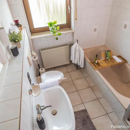 Appartement Palatina Living à Fischbach Extérieur photo