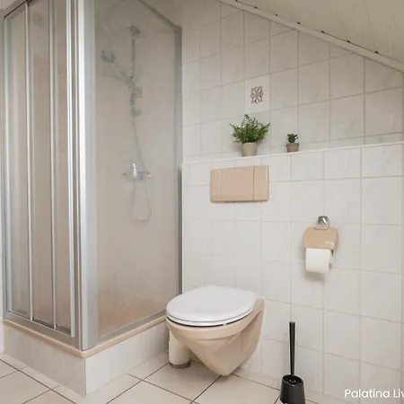 Appartement Palatina Living à Fischbach Extérieur photo