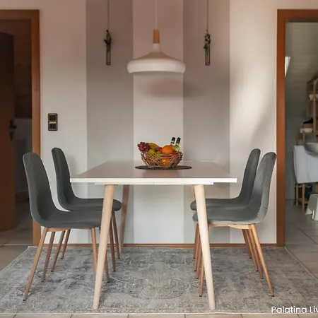 Appartement Palatina Living à Fischbach Extérieur photo