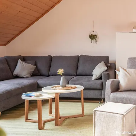 Appartement Palatina Living à Fischbach Extérieur photo