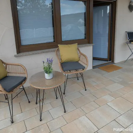 Appartement Palatina Living à Fischbach Extérieur photo