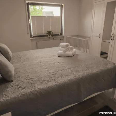 Appartement Palatina Living à Fischbach Extérieur photo