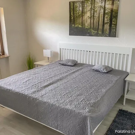Appartement Palatina Living à Fischbach Extérieur photo