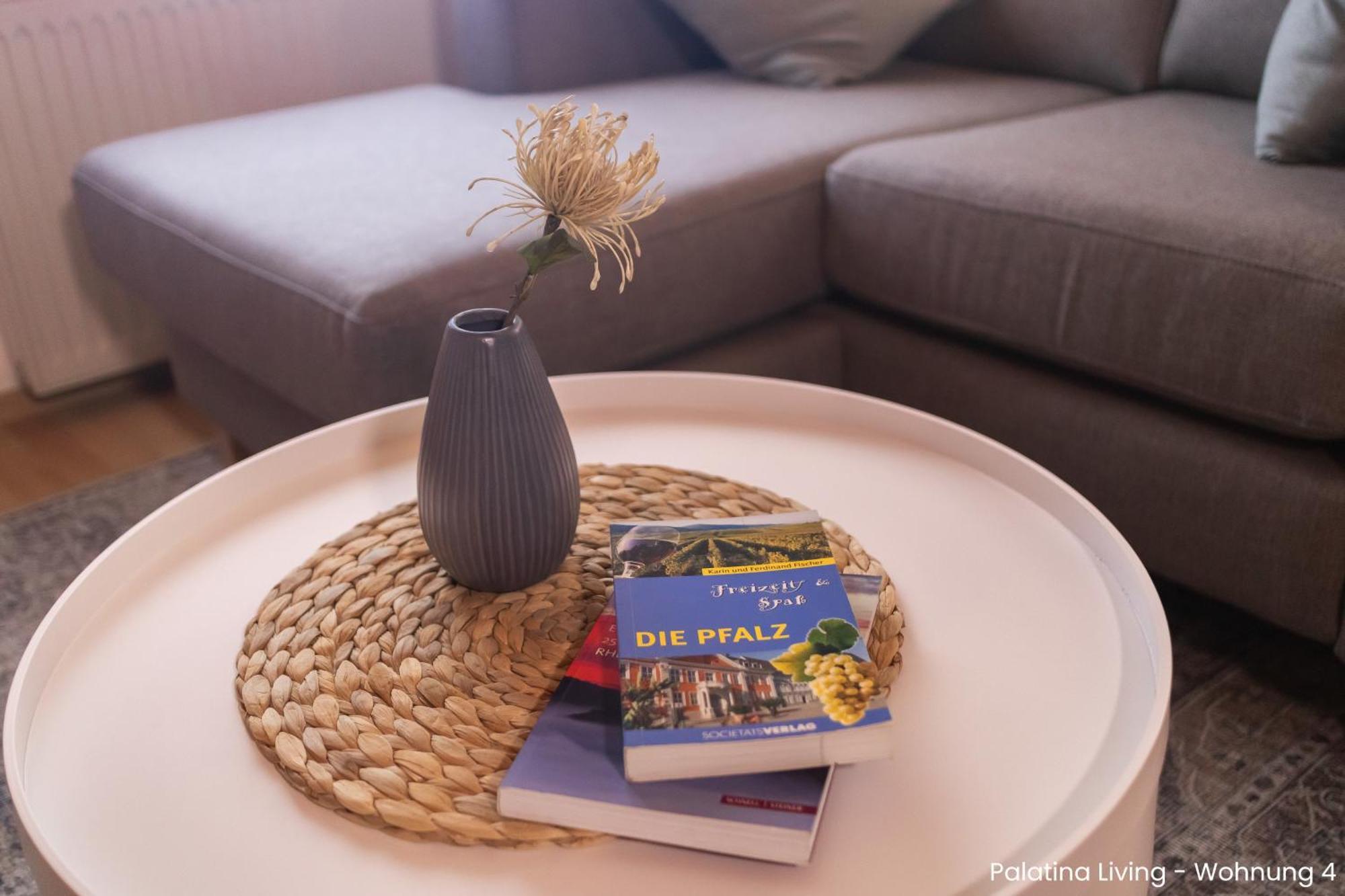 Palatina Living Apartment Fischbach bei Dahn