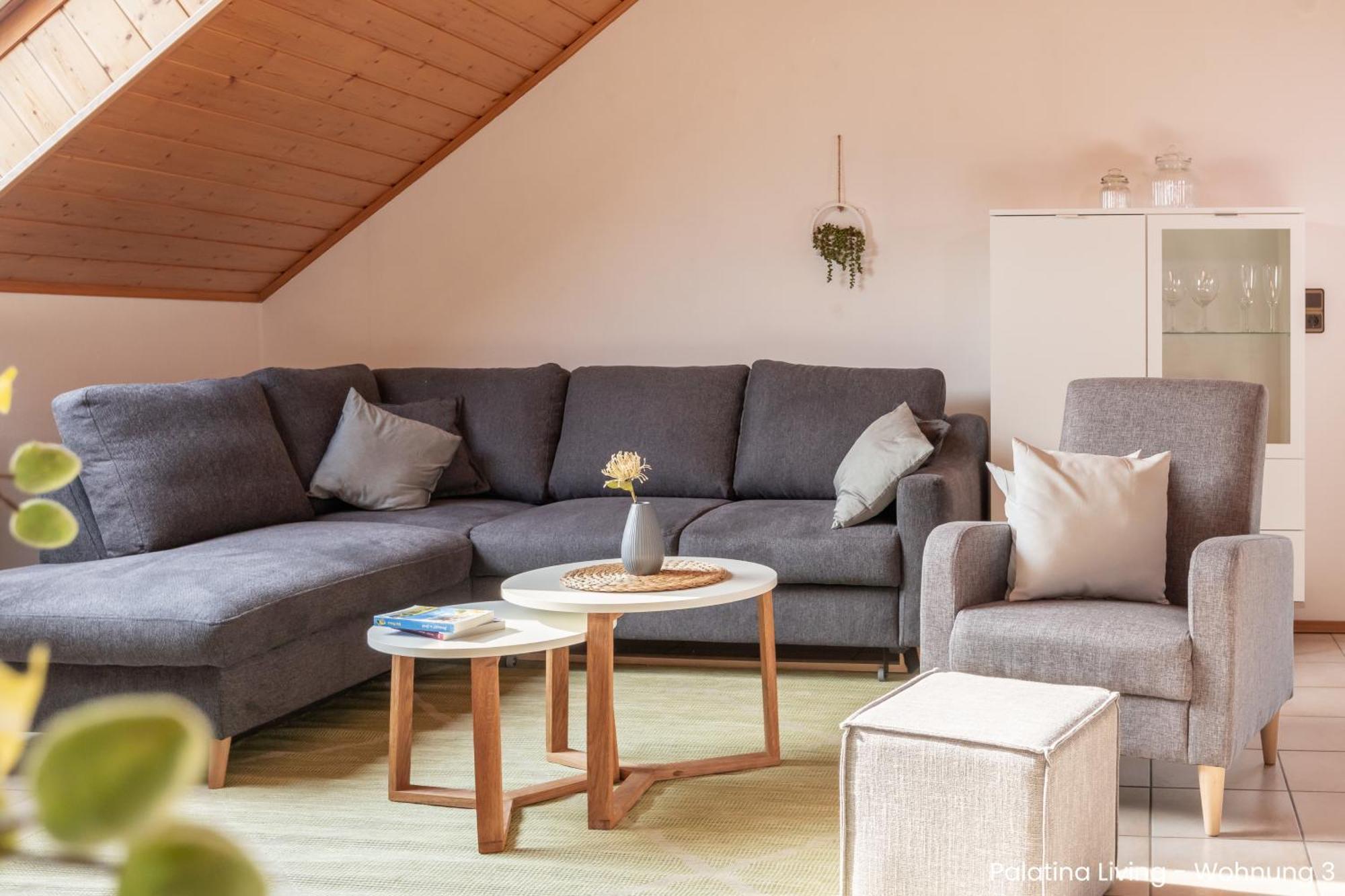 Apartment Palatina Living Fischbach bei Dahn