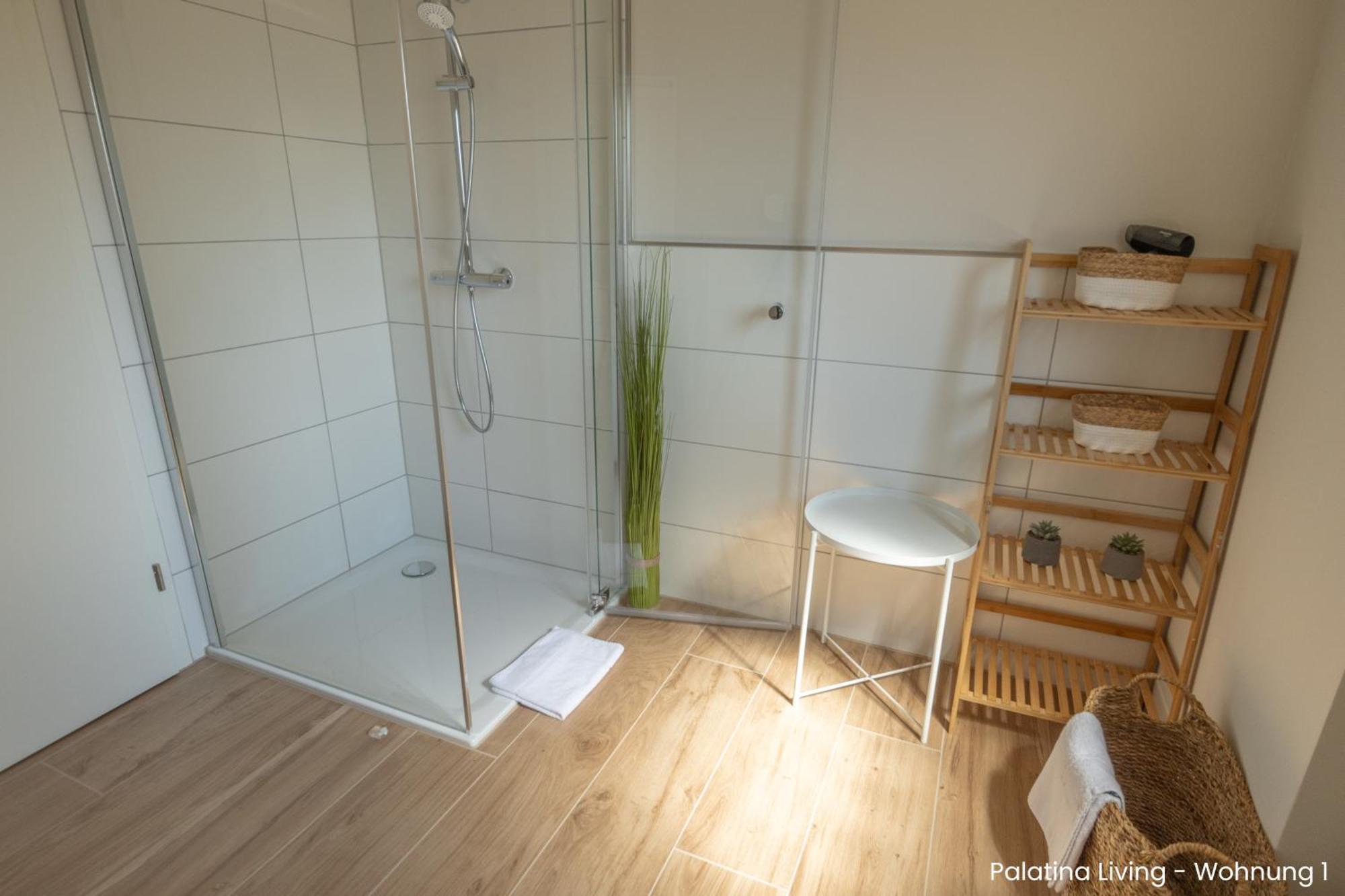 Palatina Living Apartment Fischbach bei Dahn
